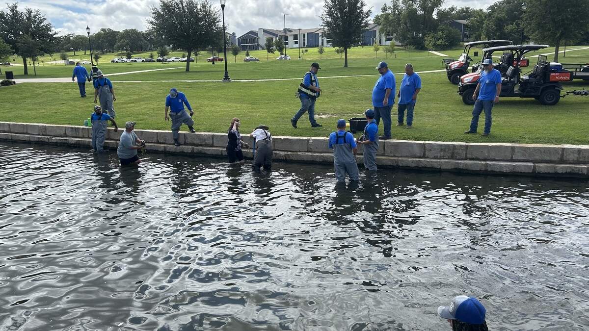 Workers and volunteers helped plant 370 native aquatic plants at Bedford Boys Ranch Lake to help rebuild the lake’s ecosystem after several fish died last year due to a spike in chlorine levels from an unknown source. Workers and volunteers helped plant 370 native aquatic plants at Bedford Boys Ranch Lake to help rebuild the lake’s ecosystem after several fish died last year due to a spike in chlorine levels from an unknown source.